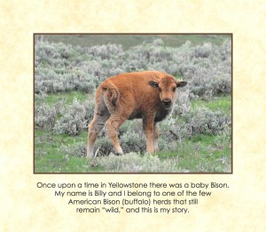 Once Upon A Time in Yellowstone_00
