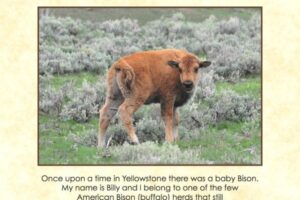 Once Upon A Time in Yellowstone_00