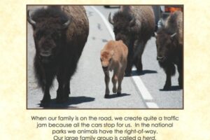 Once Upon A Time In Yellowstone