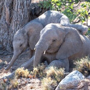 namibia_2016_namibia__dsc4863-troub-climbing-1